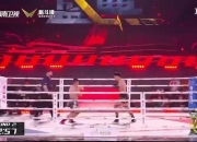 NG体育- 拳击赛场再起风云：闽南青龙队险胜东海火狐队，赛场气氛火爆赛季拐点或已出现